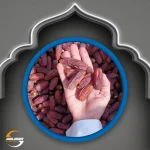 Mobroom Low Class - 5KG