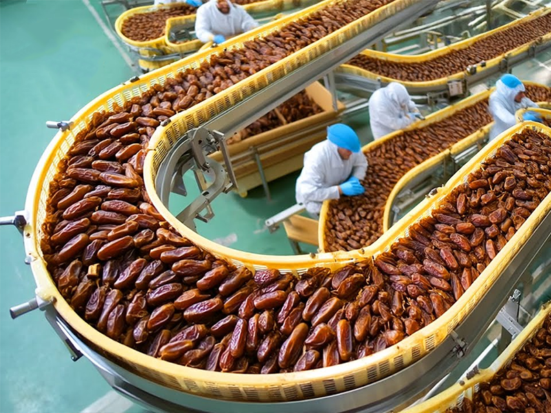 Our Vision Salman International